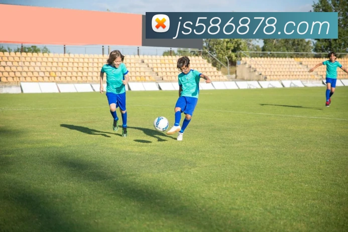 多媒体互动体验