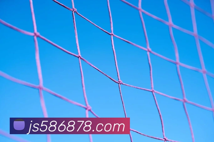 澳门金沙国际APP 高清赛事图